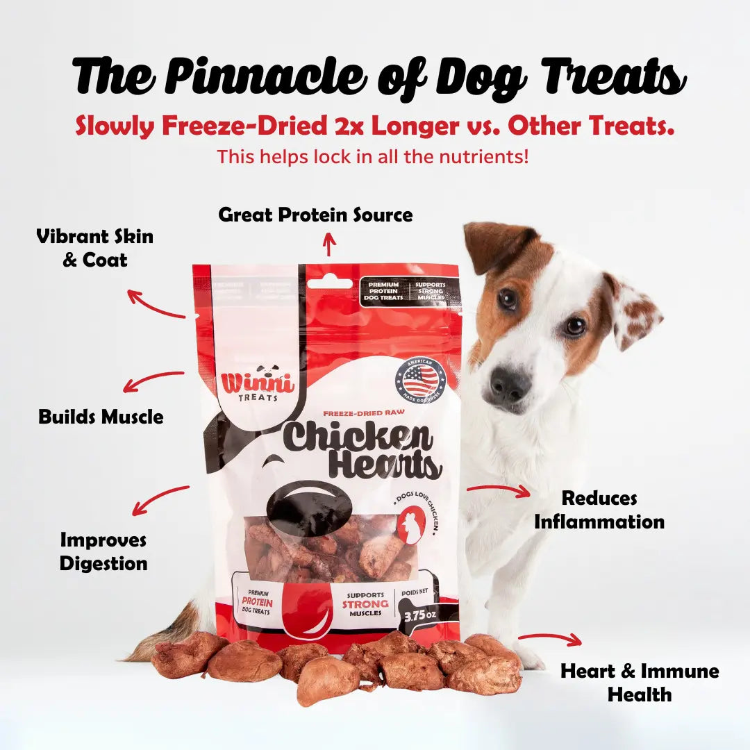 Winni Treats Freeze Dried Chicken Hearts Dog Treats - 100% Natural High Protein Snack Made in USA, Single Ingredient, Supports Strong Muscles, 3.75Oz