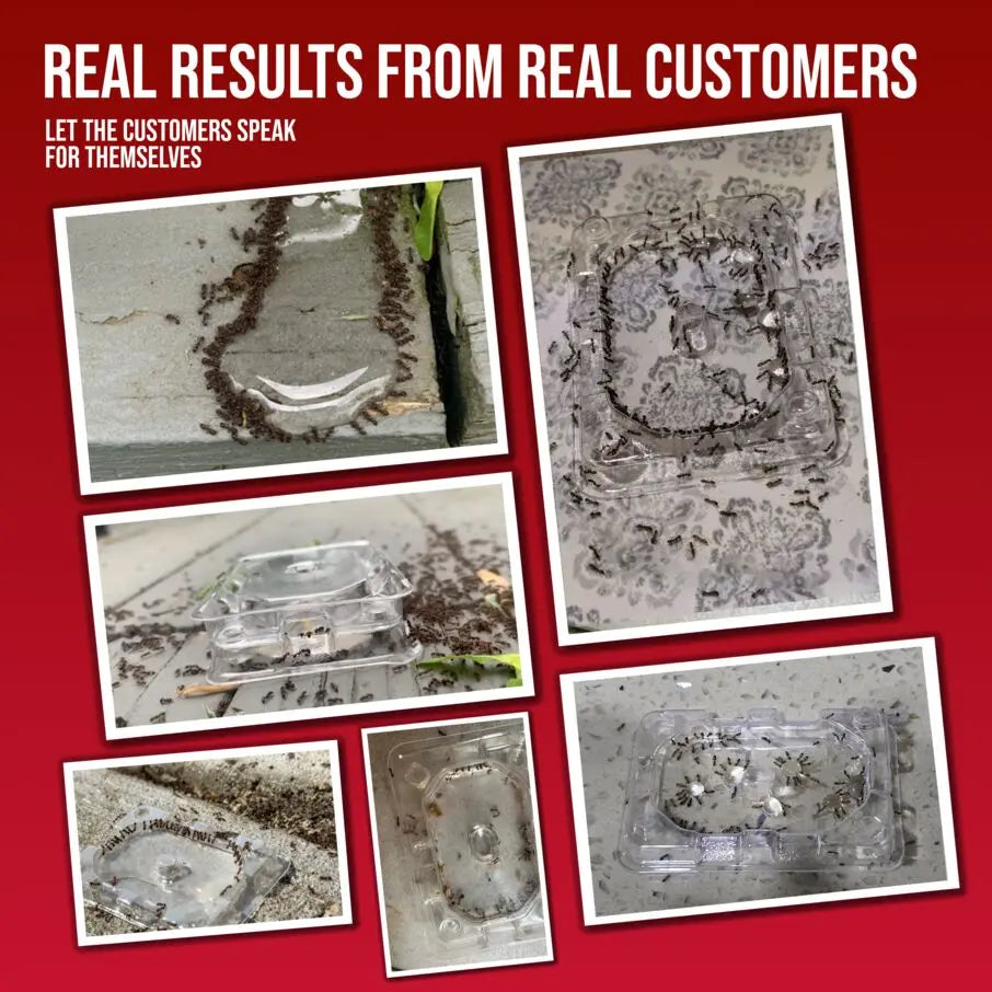 DEFIANT™ Liquid Ant Bait for Ant Control, 1-Year Supply + 8 Classic Bait Stations