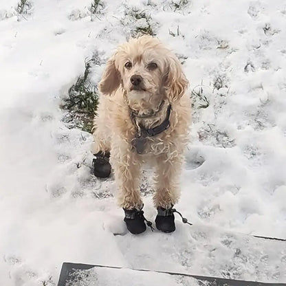 4Pcs Anti-Slip Dog Paw Protectors, Soft Dog Shoes with Straps, Durable Nylon Claw Pads, Suitable for Indoor Outdoor Walking Running