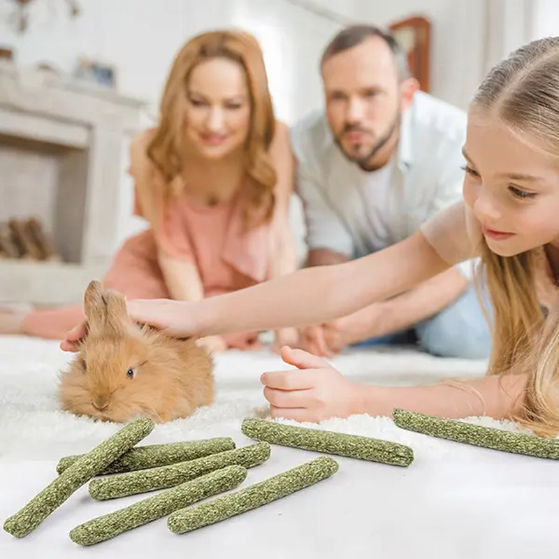 45 Timothy Chew Sticks, Suitable for Pets Such as Rabbits, Guinea Pigs, Hamsters, Chinchillas, Mice, and Gerbils.