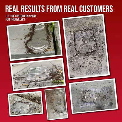 DEFIANT™ Liquid Ant Bait for Ant Control, 1-Year Supply + 8 Classic Bait Stations