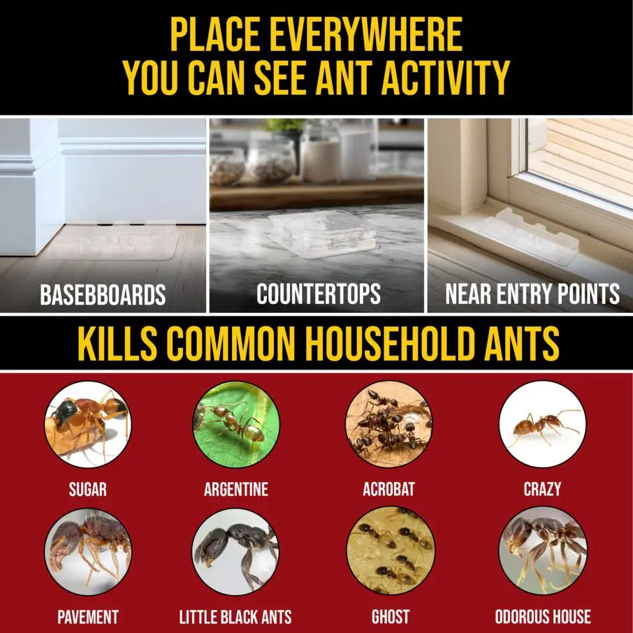 DEFIANT™ Liquid Ant Bait for Ant Control, 1-Year Supply + 8 Classic Bait Stations