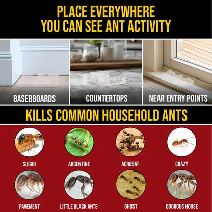 DEFIANT™ Liquid Ant Bait for Ant Control, 1-Year Supply + 8 Classic Bait Stations