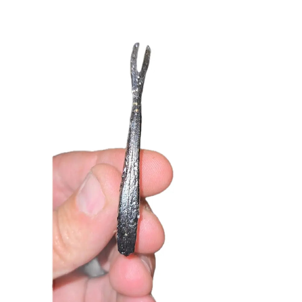 Ebc-Fork Tail Minnows 2.75Inch