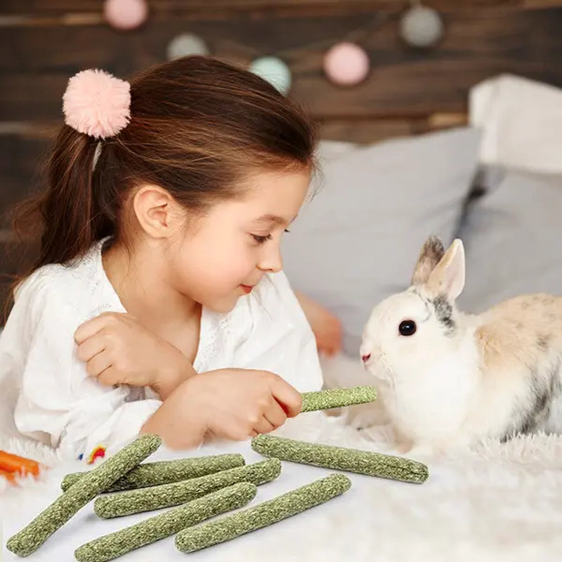 45 Timothy Chew Sticks, Suitable for Pets Such as Rabbits, Guinea Pigs, Hamsters, Chinchillas, Mice, and Gerbils.