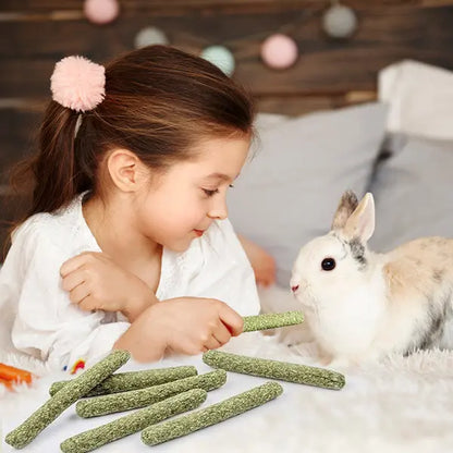 45 Timothy Chew Sticks, Suitable for Pets Such as Rabbits, Guinea Pigs, Hamsters, Chinchillas, Mice, and Gerbils.