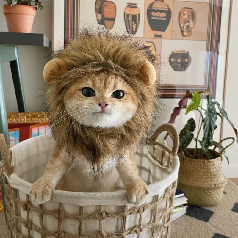 Cat Lion Head Pet Hair Decoration Cute and Funny Lion Ear Wig Hat Halloween Costume Fancy Hat Pet Headwear Hat Decorative Produc