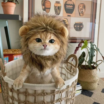 Cat Lion Head Pet Hair Decoration Cute and Funny Lion Ear Wig Hat Halloween Costume Fancy Hat Pet Headwear Hat Decorative Produc