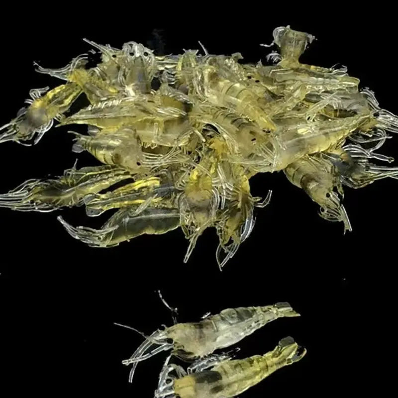 30Pcs Realistic Shrimp Soft Lure for Freshwater & Saltwater Fishing